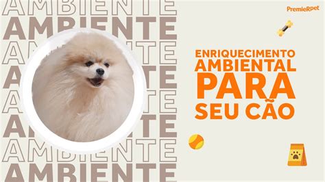 Enriquecimento Ambiental Para Cães Vida de Pet PremieRpet YouTube