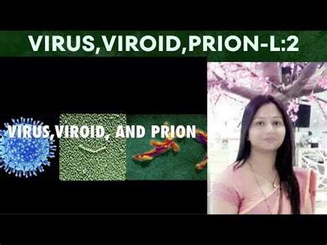 VIRUS VIROIDS PRION LECTURE TWO YouTube