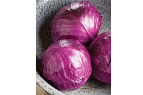 Ruby Perfection F1 Cabbage Seed Seedsday