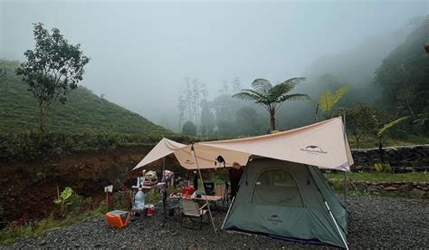 Djamuju Coffee Camping Berkalang Kabut AyoGlamping