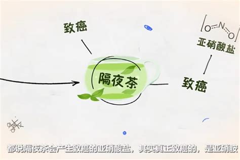 隔夜茶毒如蛇？科学告诉你真相！凤凰网视频凤凰网