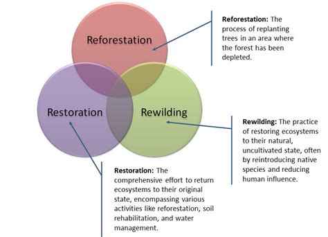 One Pager Dressing Up Nature To Restore Our Ecosystems