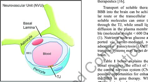 Schematic Presentation Of The Neurovascular Unit NVU Where The Brain