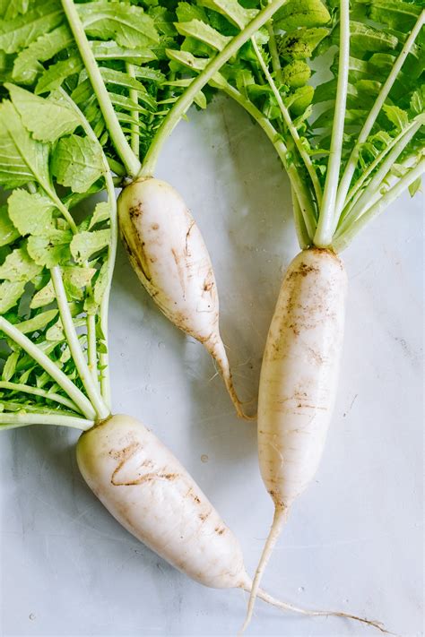 How To Grow Daikon Radish