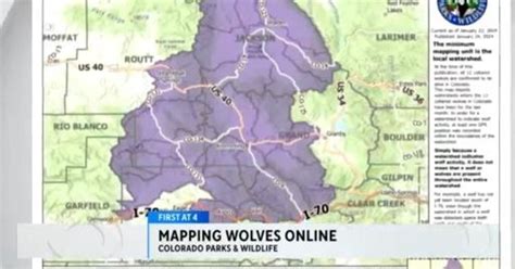 CPW debuts map tracking 12 gray wolves - CBS Colorado