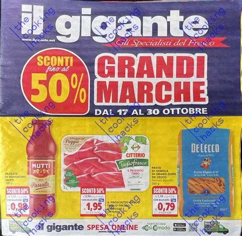 Volantino Il Gigante Dal 11 Novembre 2024