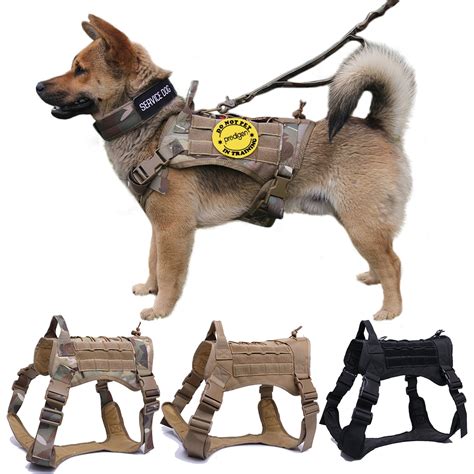 Dog Harness and Leash Set With Nylon Handle