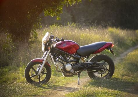 Naked Honda VTR Netrider Connecting Riders