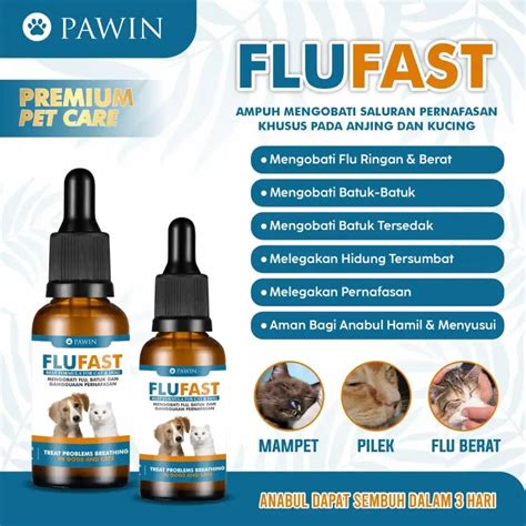 10 Rekomendasi Obat Flu Untuk Kucing Dari Medis Hingga Alami Page 2