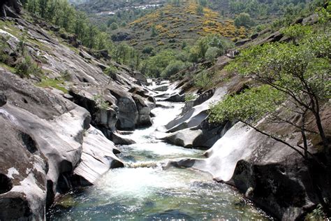 Cannon Water Throat - Free photo on Pixabay - Pixabay