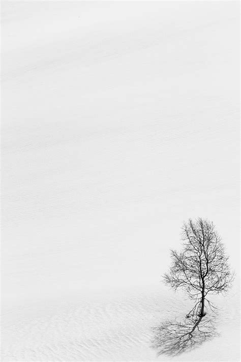 Nature Wood Tree Minimalism Branches Bw Chb Hd Phone Wallpaper