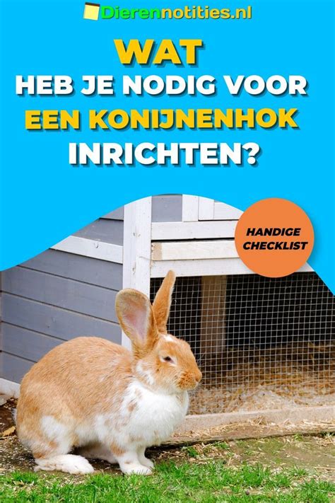 Wat Heb Je Nodig Voor Een Konijnenhok Inrichten Huisdier Konijnen