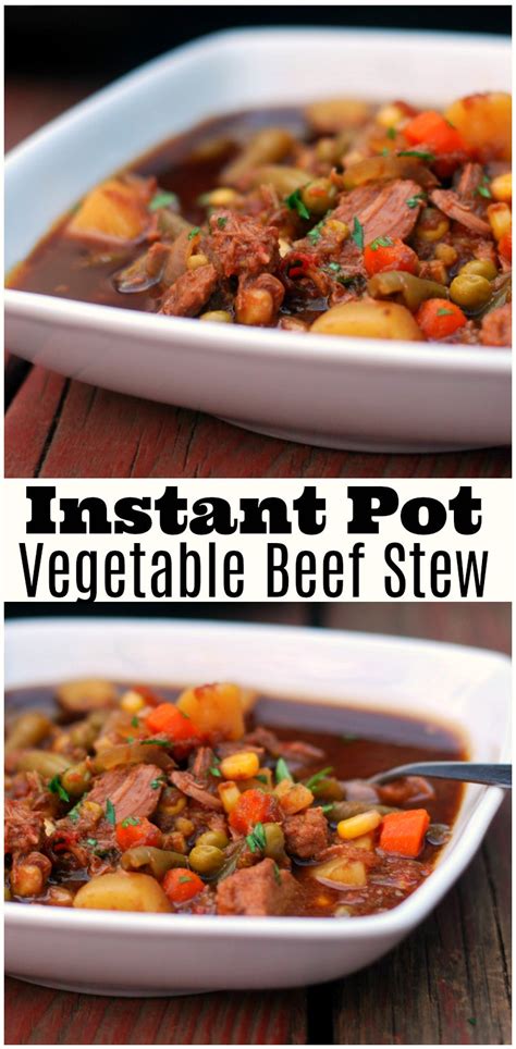 The Best Ideas for Instant Pot Vegetable Stew – Easy Recipes To Make at Home