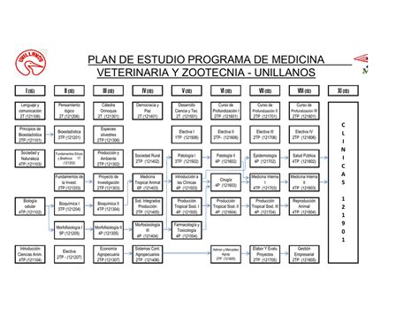 Plan De Estudios Medicina Veterinaria Veterinaria Online