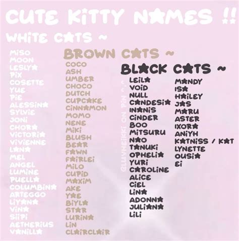 Cute Kitty Names 4u In 2024 Cute Cat Names Names Cat Names