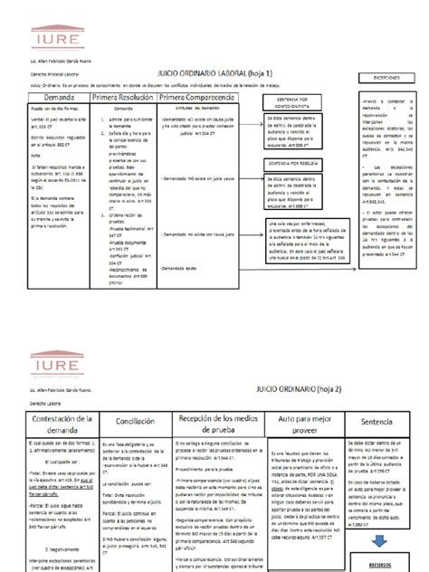 Esquema Juicio Ordinario Laboral Pdf