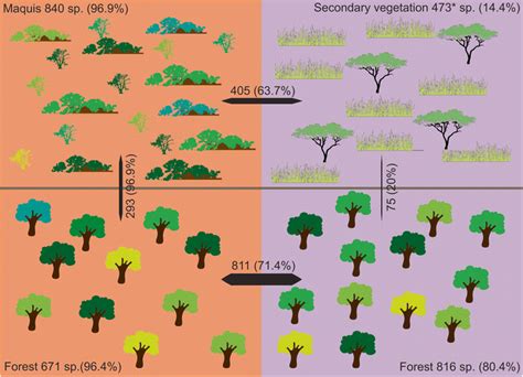 Substrate-related flora in the different vegetation types: [top ...