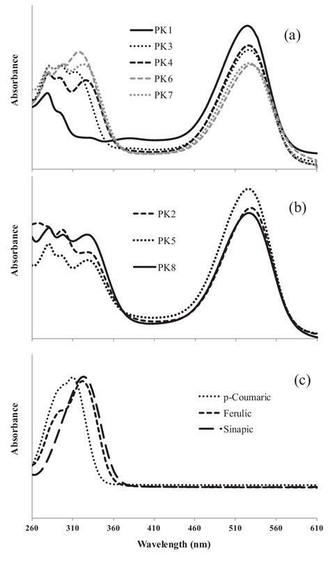 Normalized UV Vis Spectra Of A Cy3diG 5 G PK1 Cy3diG 5 G