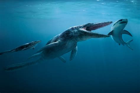 Tylosaurus - Tylosaurus Proriger 360gradimpact.com