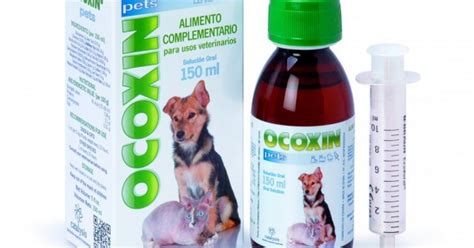 Ocoxin Pets Catalysis Ml Cityvet Pet Farm Cityvet B B