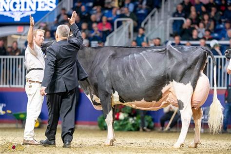 Explore The Remarkable Journey Of Jacobs High Octane Babe As She Attained The Prestigious EX 96