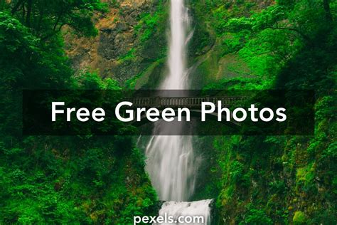 Free Stock Images With The Color Green 00ff00