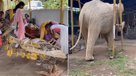 Tribals Make Life Size Elephant Statues Using Invasive Weed Trending