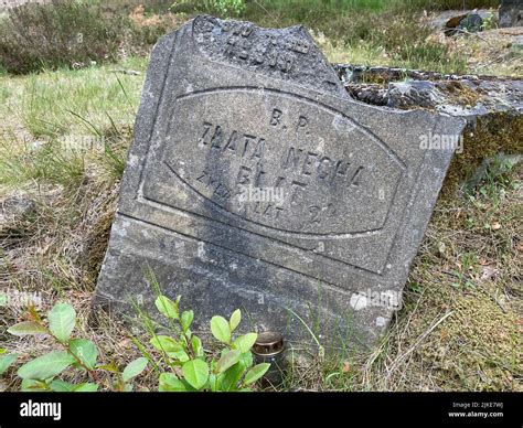 Ruins Of The Old Jewish Cemetery In Otwock Poland Cmentarz Ydowski W