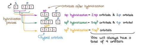 Hybridization — Organic Chemistry Tutor