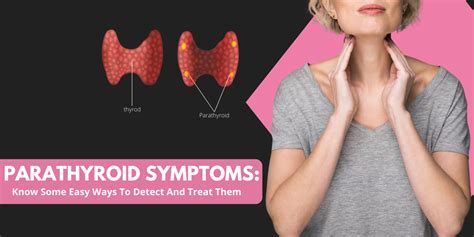 Parathyroid Symptoms Know Some Easy Ways To Detect And Treat Them Dr