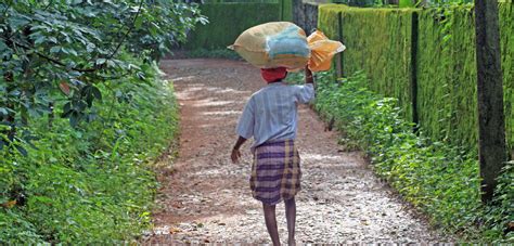 Labour Codes India Restores The Concept Of Negotiating