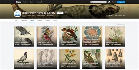 Biodiversity Heritage Library Digital Meets Culture