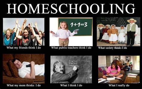 What I Really Do Homeschooling Funny Picture Quotes Funny Pictures