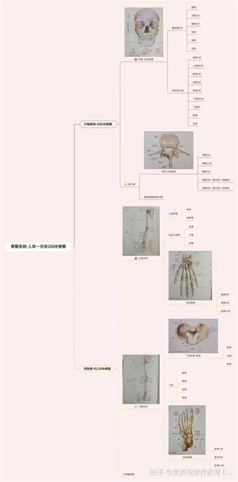 Ifa国际芳疗师考证真的很难吗？ 知乎