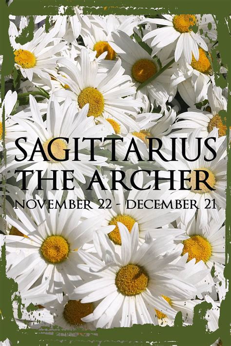 Daisy Flower Wall Art Sagittarius the archer Nov 22-Dec 21 caps zodiac