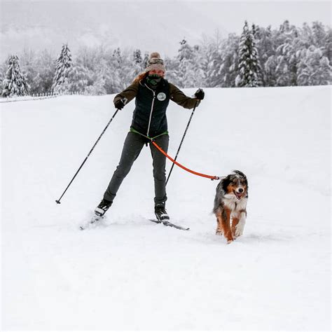 Faire Du Ski Avec Son Chien Le Ski Joering Cap Cie Blog D Un