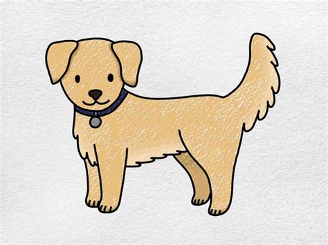 How To Draw A Golden Retriever Helloartsy