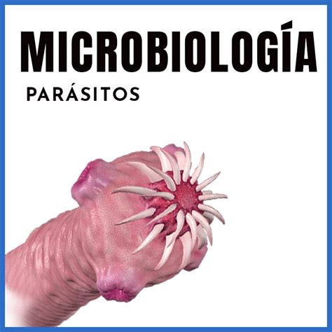 Microbiolog A Parasitolog A Par Sitos Dr Humberto Instituto