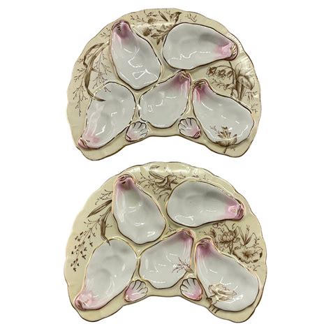 French Limoges Oyster Plates A Pair For Sale At 1stdibs