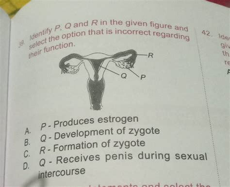 Identify P Q And R In The Given Figure And Select The Option That Is Inco