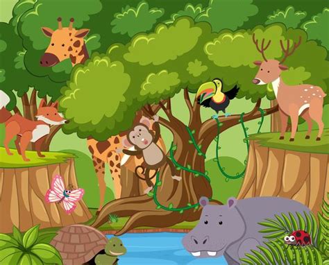 Wild animals live in the forest 369314 Vector Art at Vecteezy