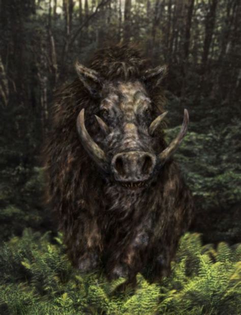 Image Great Boar Squig Epic Dnd Campaigns Wiki Fandom Powered