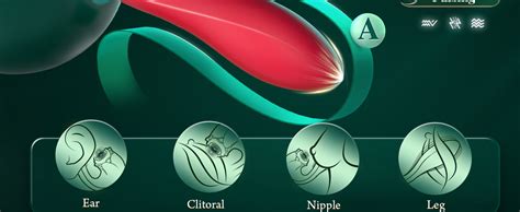 Sex Toys Vibrator For Woman In Dildo Rose Sex Toy Vibrator Adult Toy With Vibration