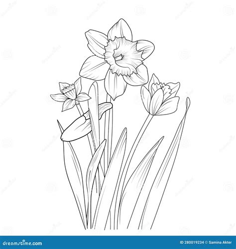 Botanical Spring Elements Bouquet Of Line Art Coloring Page Easy