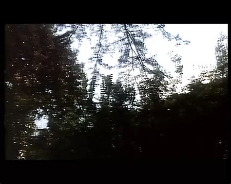 Sodoma Piaceri Proibiti Full Italian Movie Story Porn Xhamster