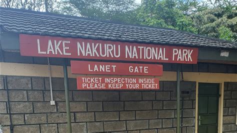 GAME DRIVE AT LAKE NAKURU NATIONAL PARKTHIS WAS FUN YouTube