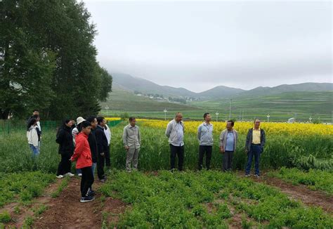 加强校（院）地合作 促进科技交流 甘肃农业大学、甘肃省农科院专家教授赴州农技站试验基地开展观摩交流活动 甘南藏族自治州农业农村局