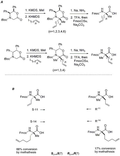 Organic Syntheses Procedure