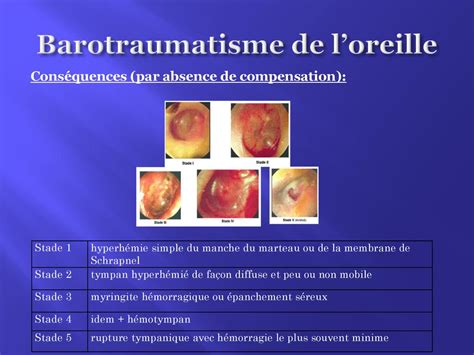 Cours Th Oriques Apn Iste Ppt T L Charger