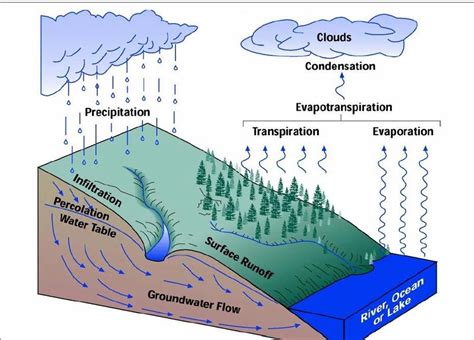 Runoff Definition Water Cycle Diagram Labeled K12 Water Cycl